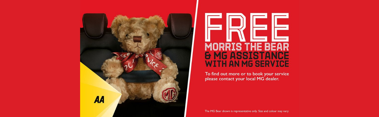 MG Servicing Offer